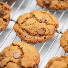 Gluten Free Peanut Butter Chocolate Chip Cookies-image