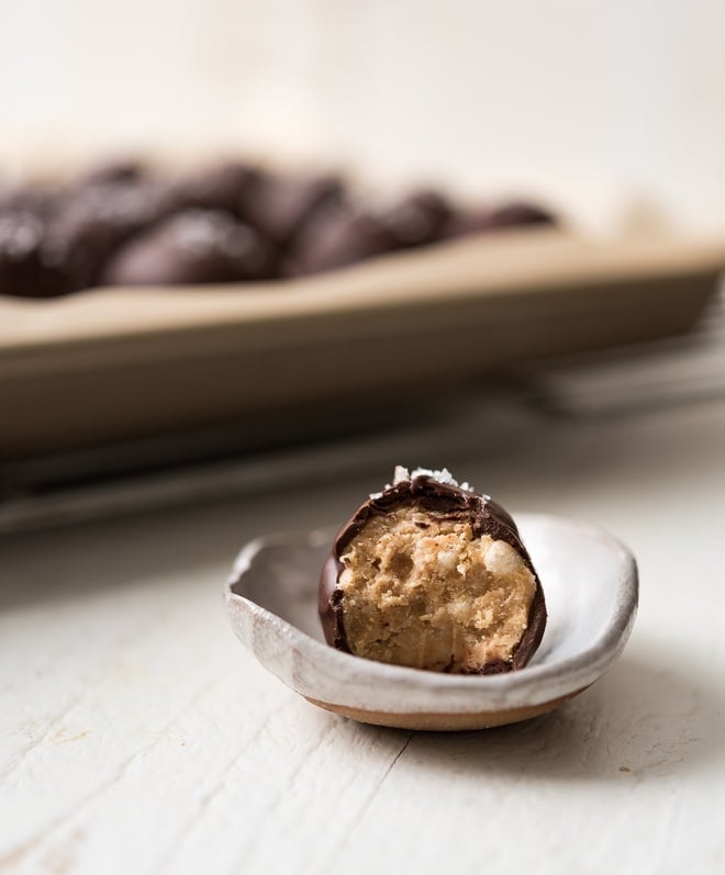 Chocolate Peanut Butter Bites