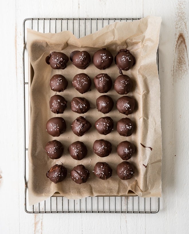 Chocolate Peanut Butter Bites