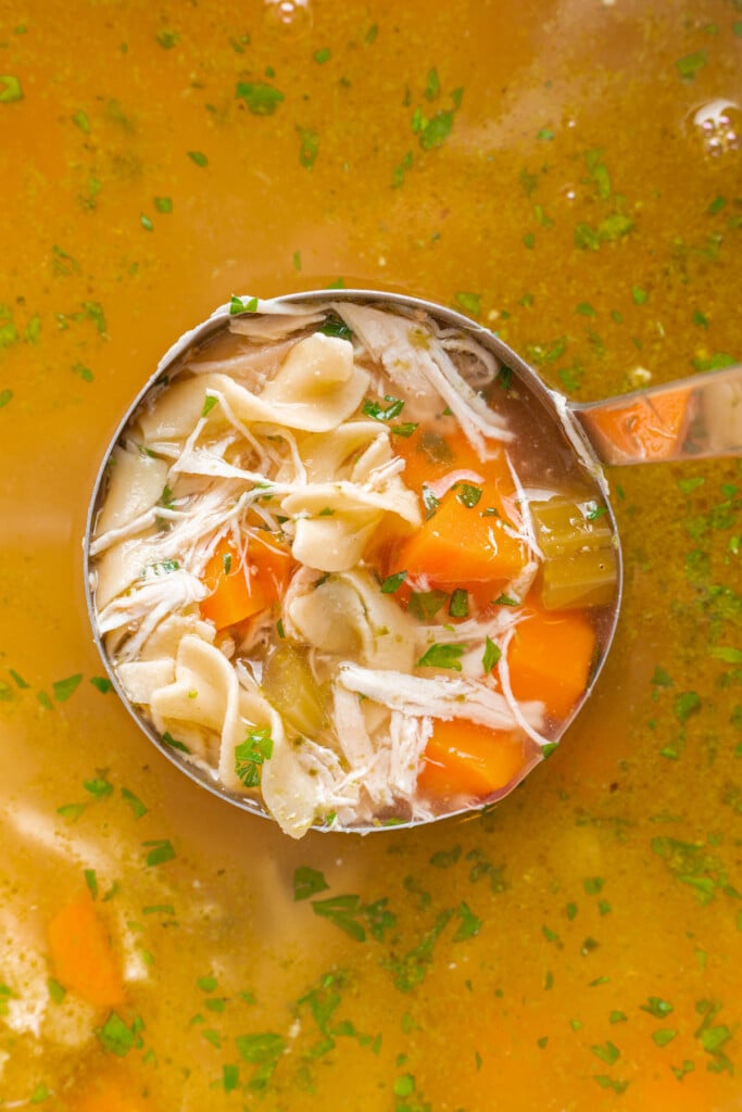 chicken noodle soup in a ladle