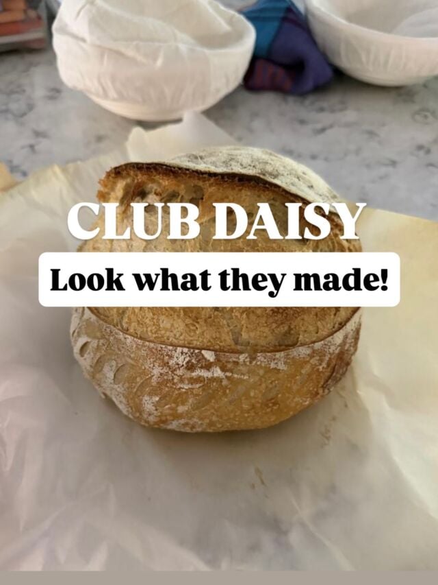 You don’t think you can make sourdough? Neither did they. 

Club Daisy is for the person who has watched a hundred videos, maybe even bought the equipment, and still hasn’t baked. Or who tried a few times and quietly gave up.

Club Daisy is for you if you think sourdough is too complicated. If you’re intimidated by starters and hydration percentages and everyone online making it look effortless. 

You won’t be figuring it out alone. I cover everything you need to know, and explain it in a way you’ll actually understand.

The game changer? A private community where I can answer your questions directly to help troubleshoot as you go. It’s like having me in your kitchen with you. 

Doors open September 8th for round two! 

Comment DAISY and I’ll send you the waitlist link.