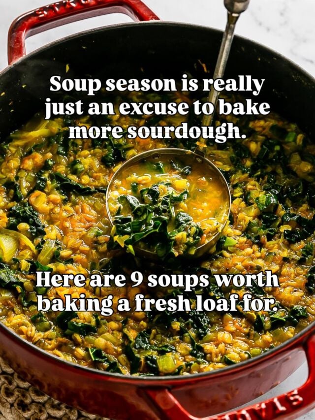 Soup season is officially here, which means it’s also sourdough season. I rounded up 9 of my favorite soups to make this fall, all of them better with a hunk of homemade bread. 🌼🍞

If baking your own has felt out of reach, that’s exactly what Club Daisy is for. I break it all down step-by-step, no experience needed!

Doors open Tuesday and the waitlist gets in first. Comment SOUP and I’ll send you the links.