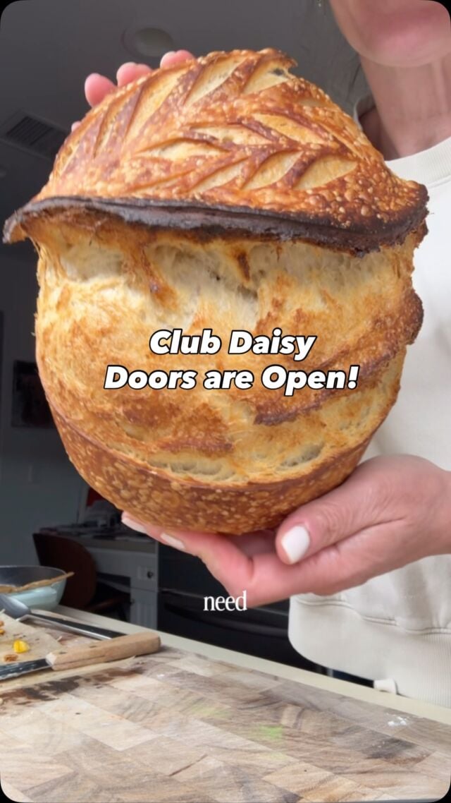 If sourdough has always felt too overwhelming, it’s not you. 🌼🍞 

You just needed someone to break it down step-by-step. That’s exactly what Club Daisy is!

🌼 Pre-recorded videos broken down so you can go at your own pace
🌼 Me, basically your personal sourdough assistant, in there answering all your questions
🌼 A whole community learning right alongside you

Doors are open for round two, now through September 15th. Once they close, the next round won’t be for a while.

If you’ve been telling yourself you’re just not a sourdough person, this is your sign that you can be.

Comment CLUB and I’ll send you all the details 👇